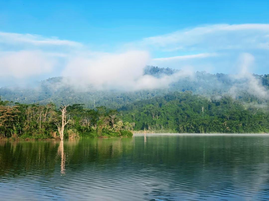 云南 火车去 火车回  10天9晚 彩云之滇  盛世花艳目的地【空调专列】10日游