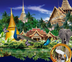 云南 飞机去 飞机回  5天4晚 【YM云南】爆款版纳双飞5日