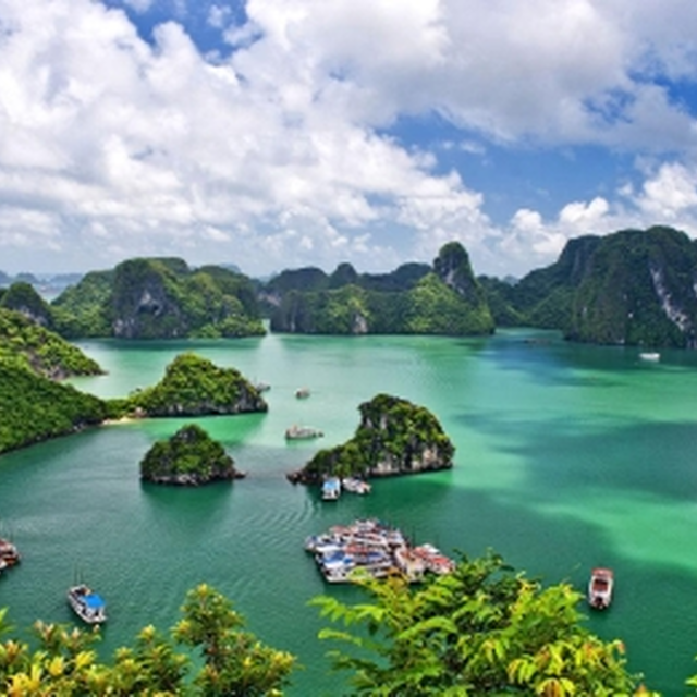 越南 高铁去 高铁回  14天13晚 越南米轨旅游专列14日游