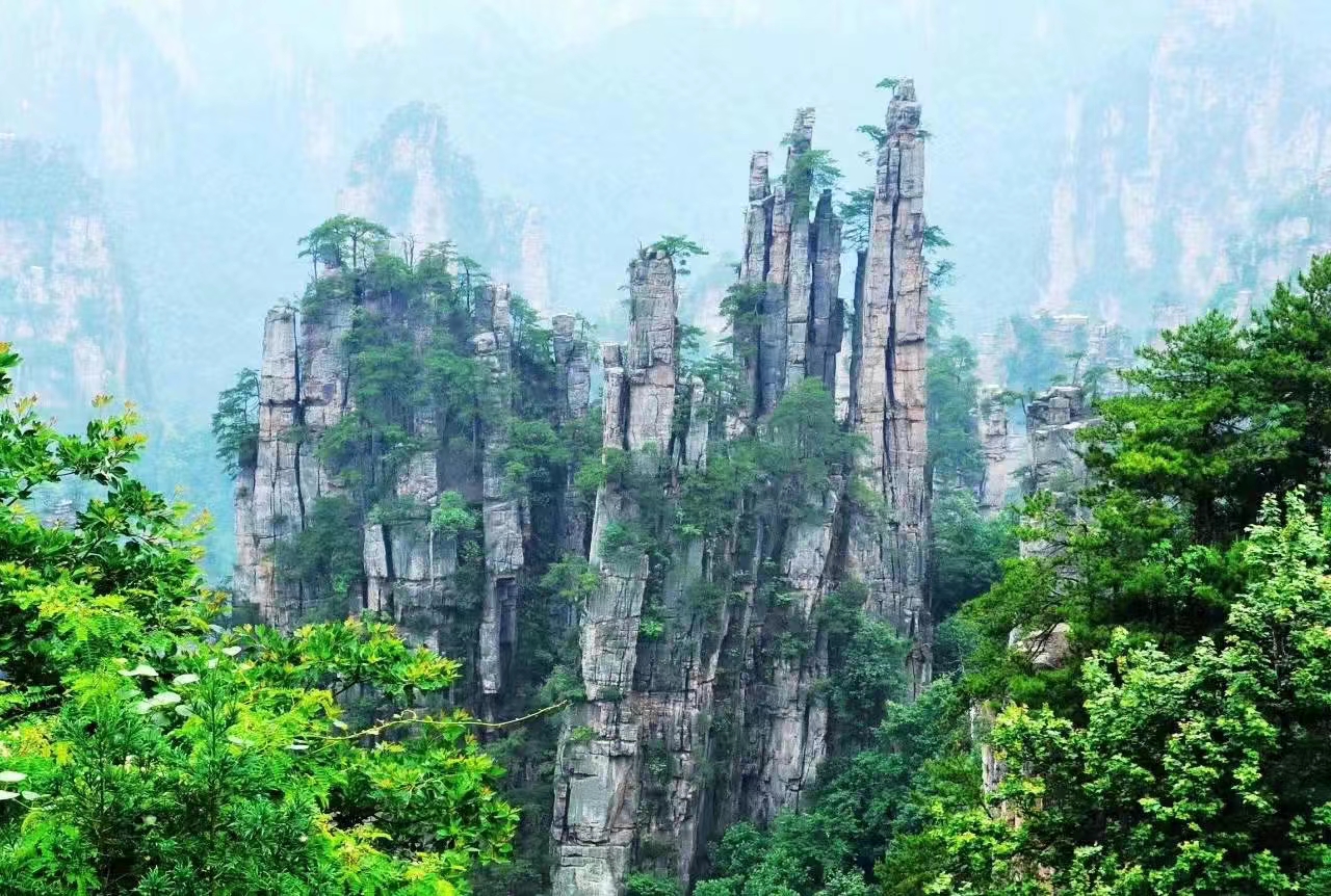 张家界 汽车去 汽车回  2天1晚 株洲起止：【大美黄金天】2日游