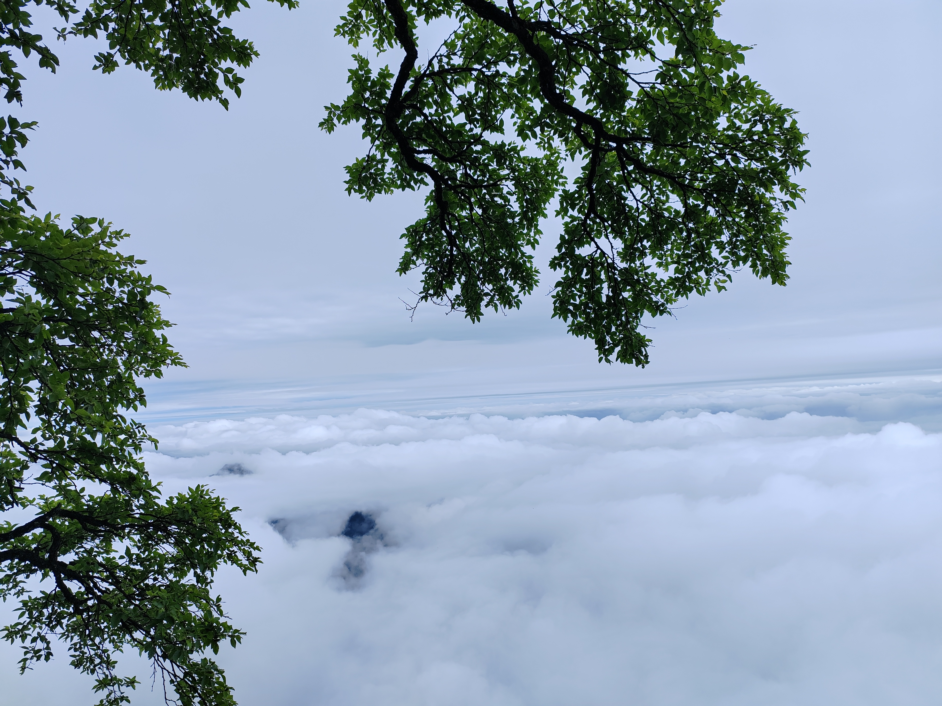 张家界 汽车去 汽车回  3天2晚 湘潭起止【B1尊享-宝森天】 宝峰湖、森林公园、袁家界、天子山、天门山三日游