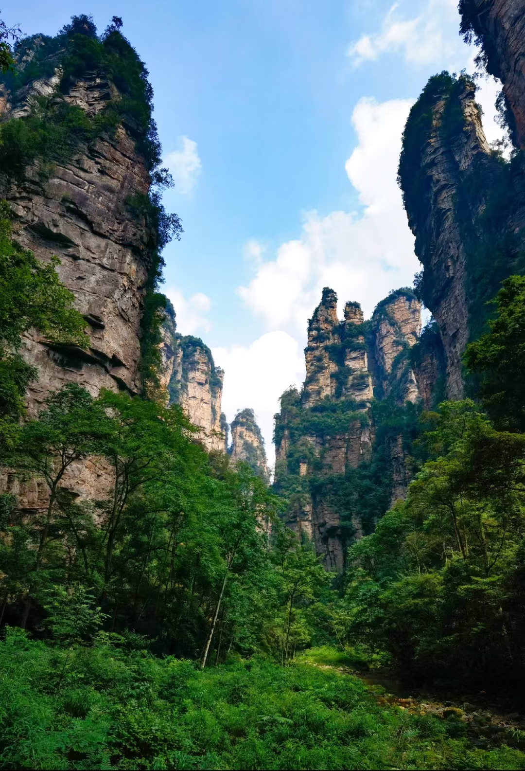 张家界 汽车去 汽车回  5天4晚 【B14仙境-宝洞森天凤】 宝峰湖、森林公园、黄龙洞、72奇楼、天门山 凤凰古城五日游