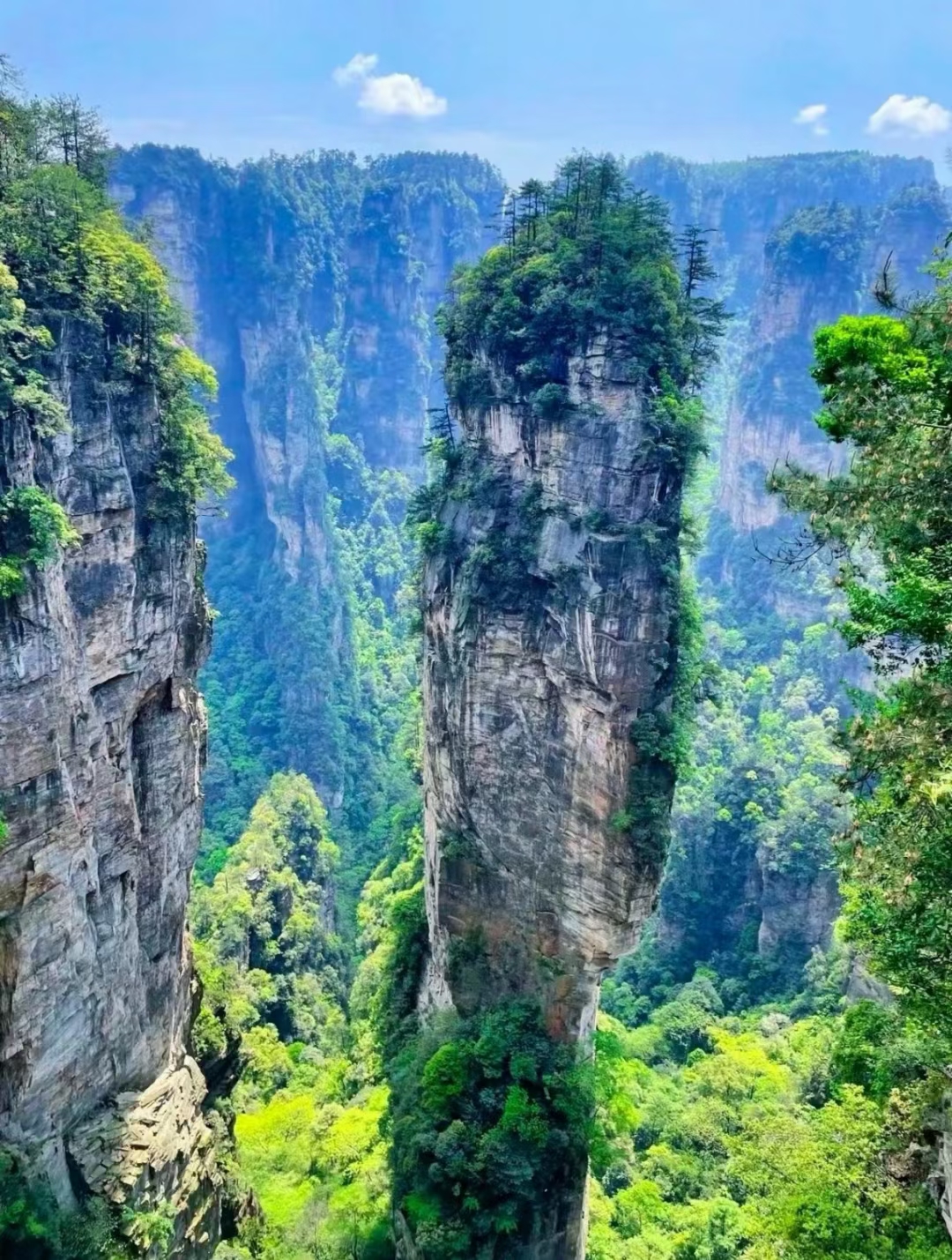 张家界 汽车去 汽车回  2天1晚 【A2宝天奇境：魅力-宝天】 宝峰湖、72奇楼、天门山两日游