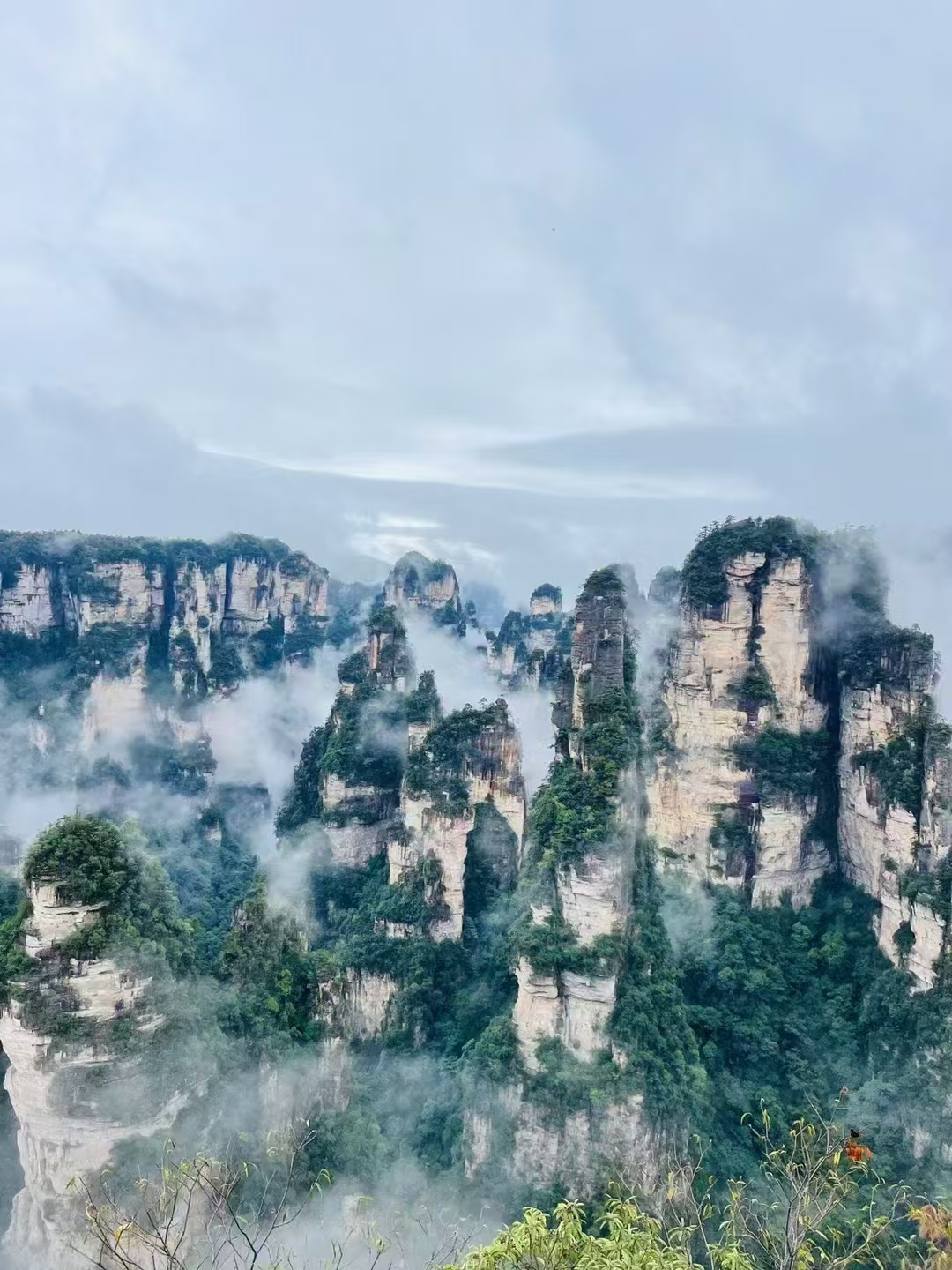 张家界 汽车去 汽车回  3天2晚 【B1乐享-宝森森】 宝峰湖、森林公园、黄石寨、金鞭溪、袁家界 七十二奇楼三日游