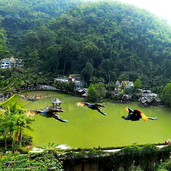 云南 飞机去 飞机回  5天4晚 森南国-直飞西双版纳4晚5日纯玩-