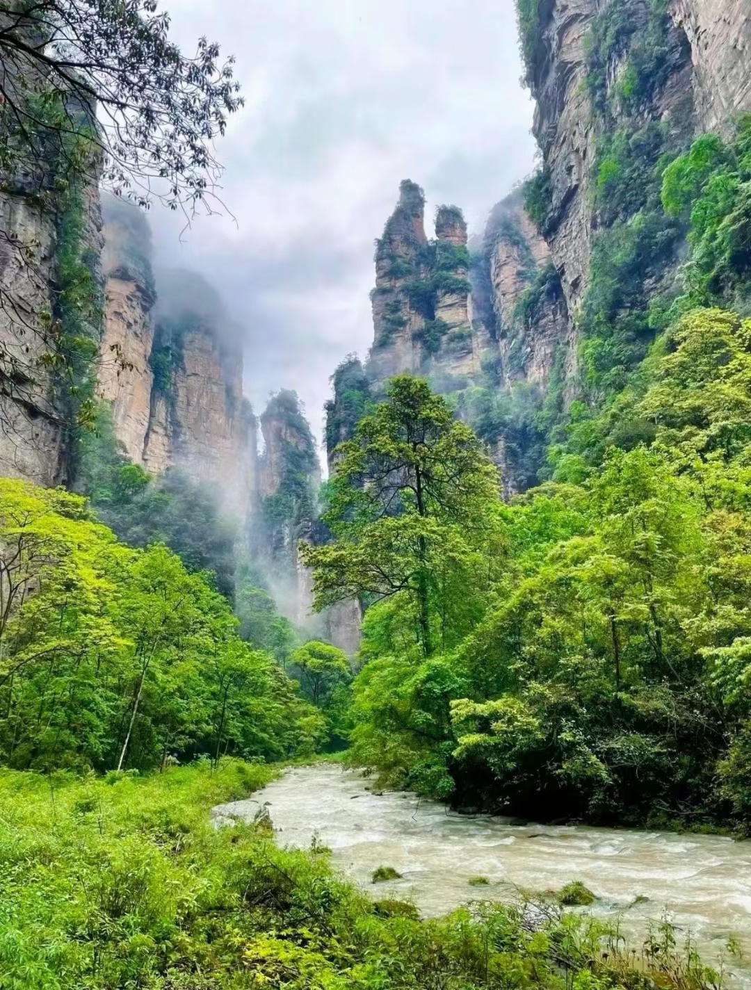 张家界 汽车去 汽车回  4天3晚 【D2甄选-宝森天凤】 森林公园、宝峰湖、袁家界、天子山、天门山、芙蓉镇 凤凰古城四日游