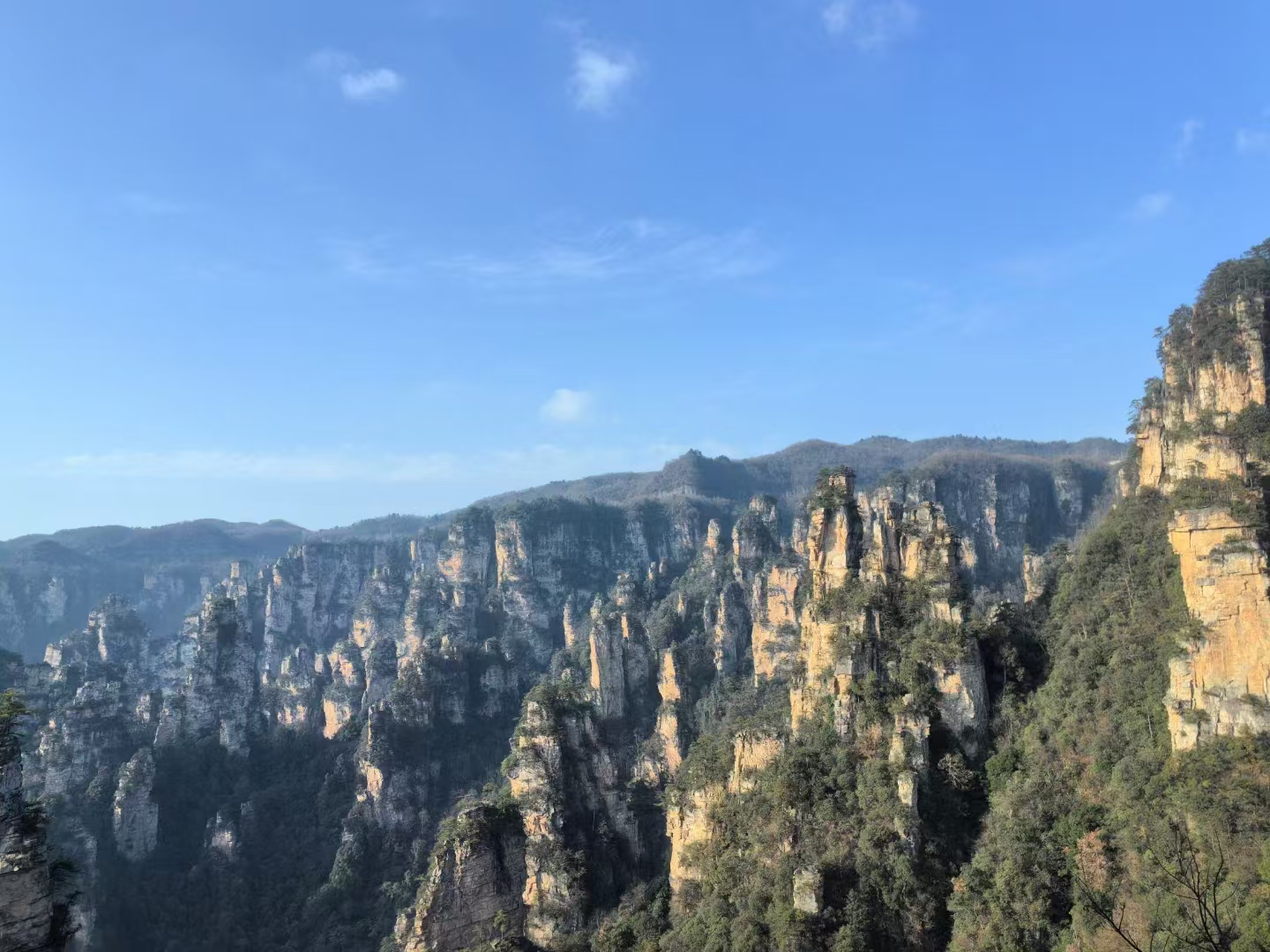 张家界 汽车去 汽车回  4天3晚 【B7王牌-宝玻森天】 宝峰湖、森林公园、大峡谷玻璃桥、袁家界、72奇楼 天门山四日游