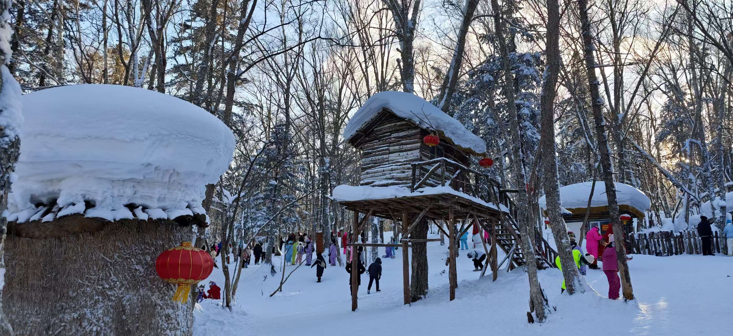 黑龙江 飞机去 飞机回  6天5晚 【傲雪芳华】哈亚雪双飞6日游
