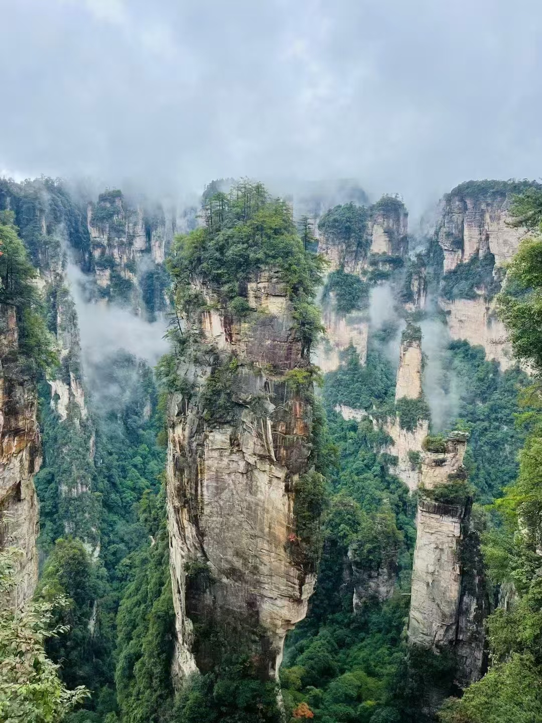 张家界 汽车去 汽车回  5天4晚 【B15仙境-宝玻森天凤】 宝峰湖、森林公园、大峡谷玻璃桥、72奇楼、天门山 凤凰古城五日游