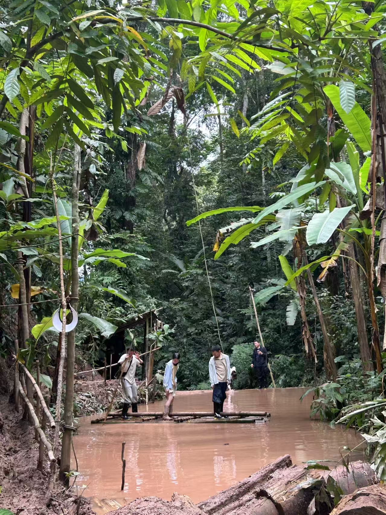 云南 飞机去 飞机回  5天4晚 森象往-直飞西双版纳4晚5日（12人小团）