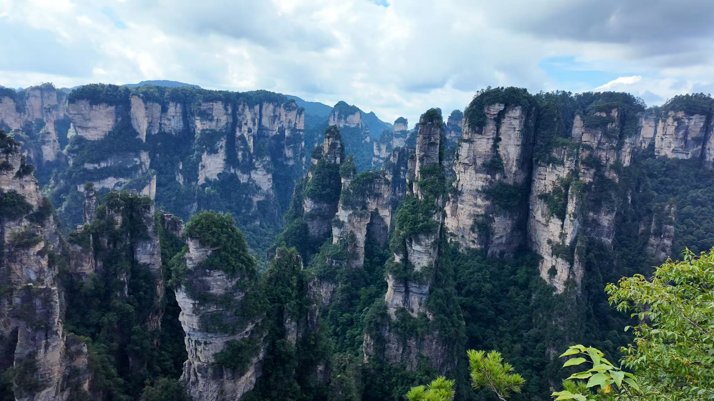 张家界 汽车去 汽车回  3天2晚 【A10山水凤凰：臻品-森森凤】 森林公园、黄石寨、金鞭溪、袁家界、72奇楼 凤凰古城三日游