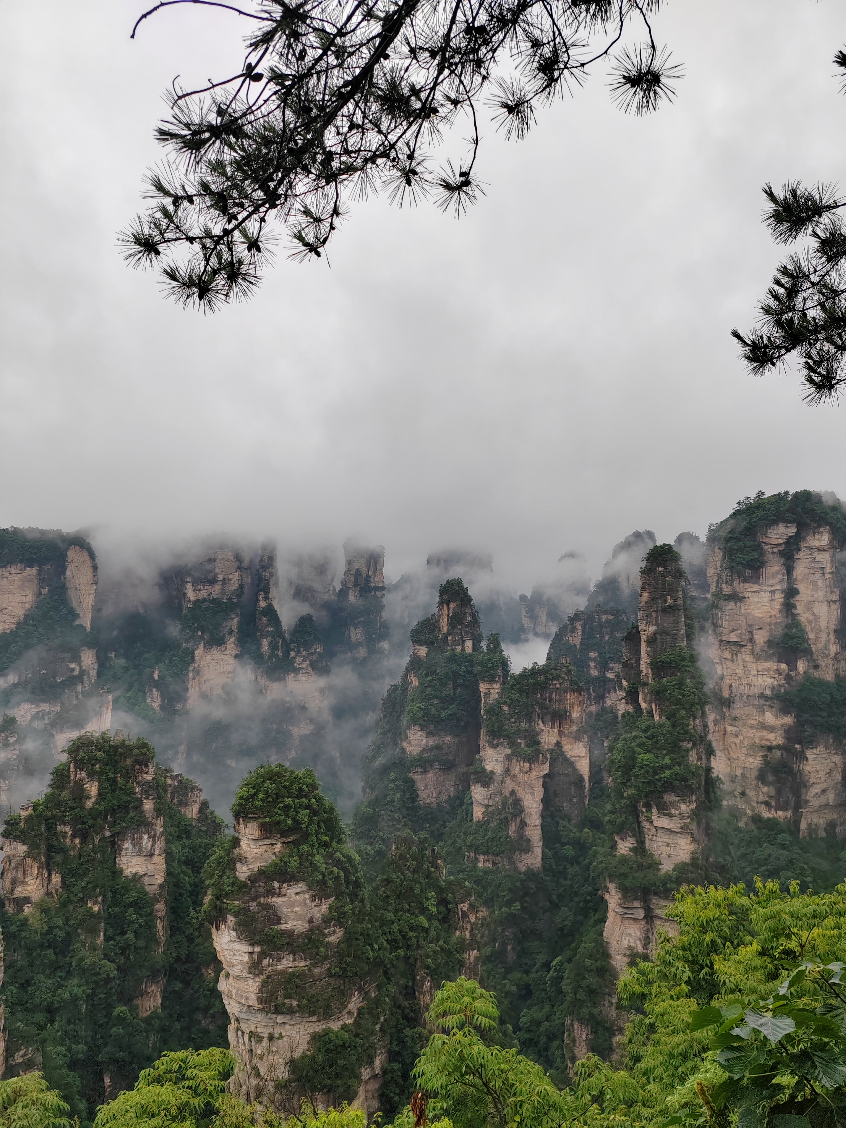 张家界 汽车去 汽车回  4天3晚 【D1甄选-森森天凤】 森林公园、黄石寨、金鞭溪、袁家界、天门山、芙蓉镇 凤凰古城四日游