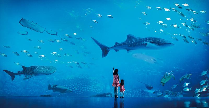 广东 高铁去 高铁回  4天3晚 珠海长隆海洋王国+飞船乐园+珠海市区 高铁4日游