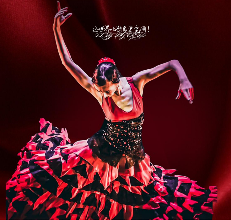 欧洲 飞机去 飞机回  13天12晚 御品 情迷西葡 西班牙葡萄牙波尔图13天 3U