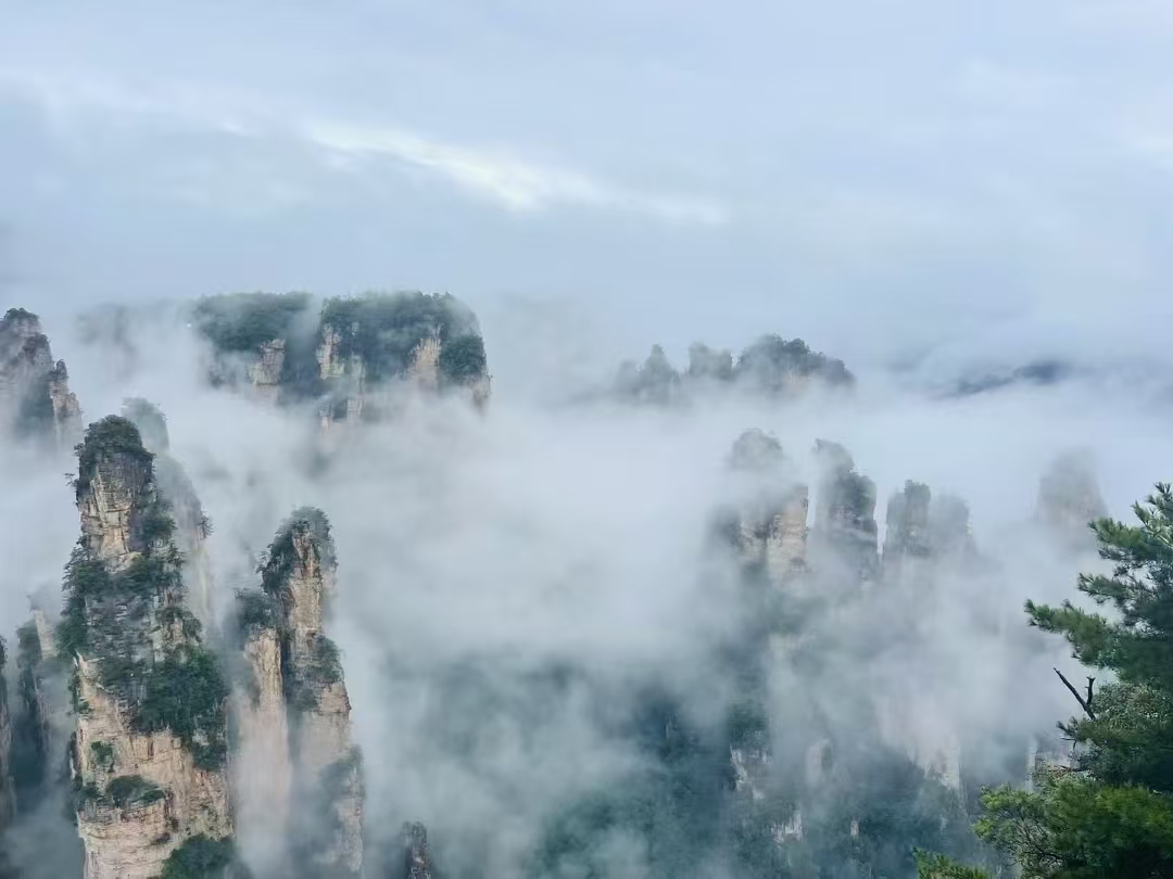 张家界 汽车去 汽车回  4天3晚 【B9探秘-宝森森凤】 宝峰湖、森林公园、黄石寨、袁家界、72奇楼 凤凰古城四日游