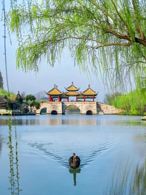 江苏 高铁去 高铁回  6天5晚 问鼎江南双高6日游