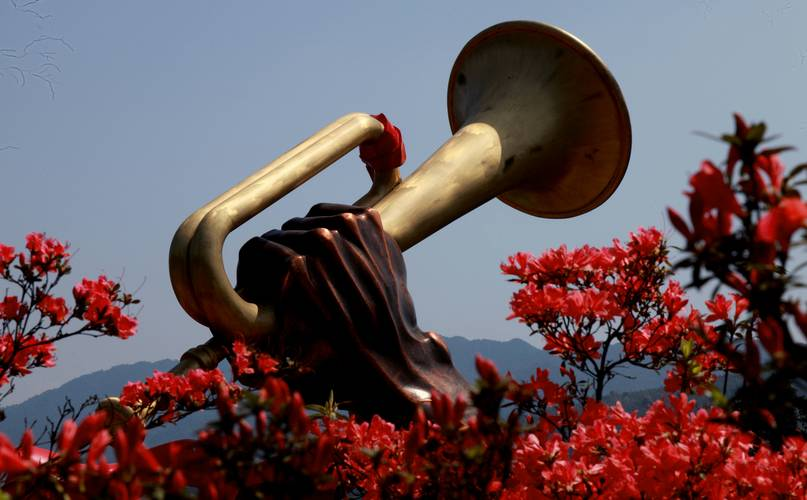 江西 飞机去 飞机回  7天6晚 庐山览奇・南昌寻古・井冈追红・ 双汽纯玩 6 日游
