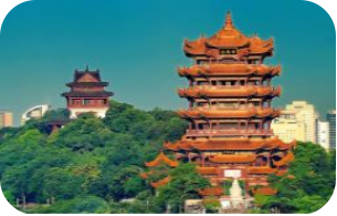 湖北武汉 汽车去 汽车回  2天1晚 【武汉樱花】 黄鹤楼、长江轮渡，江汉关、江汉路，黎黄陂路、巴公房子、汉口江滩 东湖樱园、户部巷汽车纯玩二日游