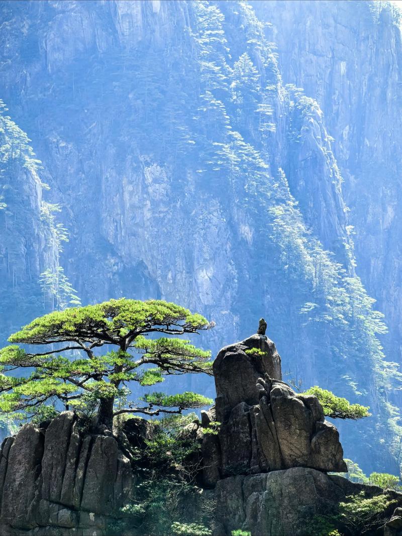 安徽 高铁去 高铁回  4天3晚 黄山一地4日游