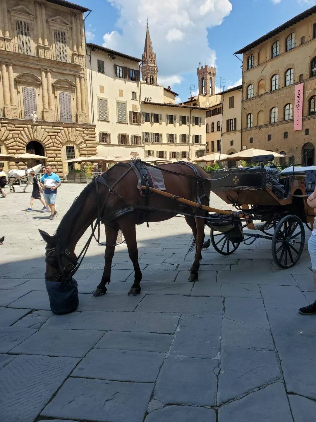 欧洲 飞机去 飞机回  12天11晚 遇见欧罗巴德法意瑞奥比卢列8国12天