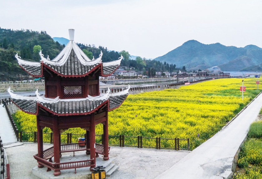 怀化 汽车去 汽车回  1天0晚 【XSD】会同稻田公园万亩油菜花、稻梦小镇、粟裕故居纯玩一日游