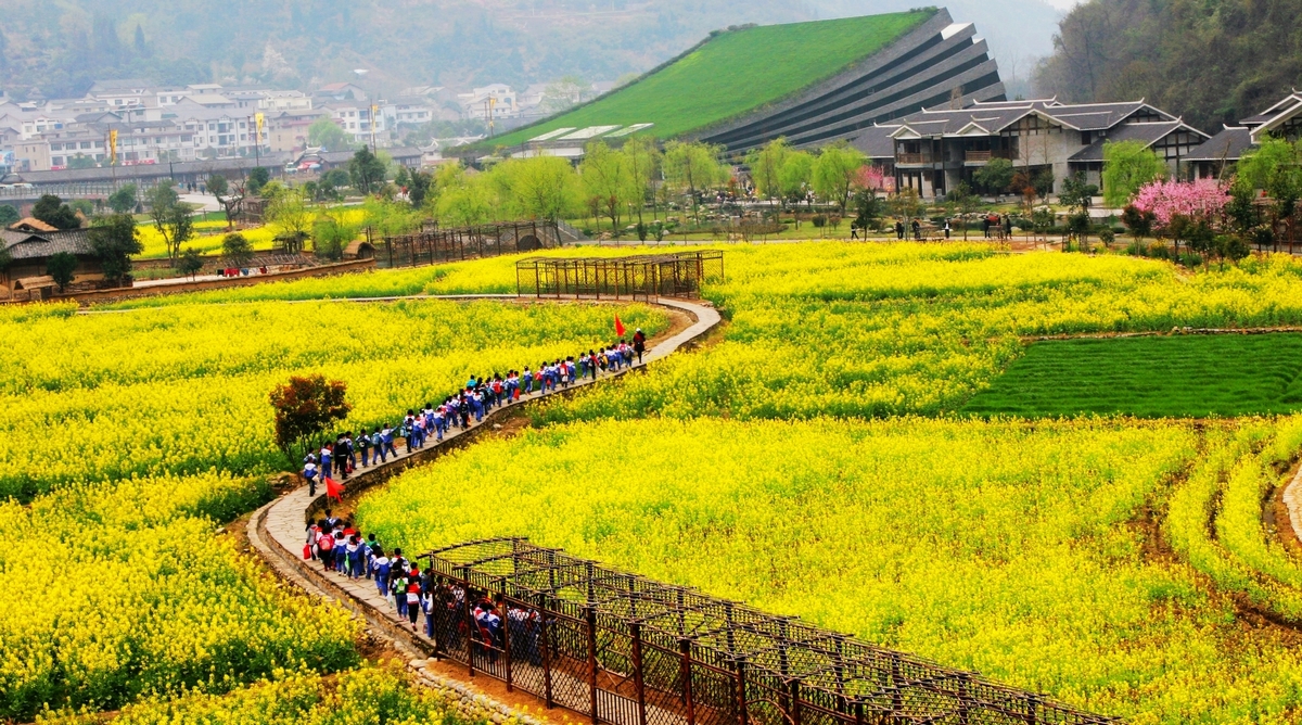 凤凰张家界 汽车去 汽车回  4天3晚 黄龙洞森林公园凤凰古城4天