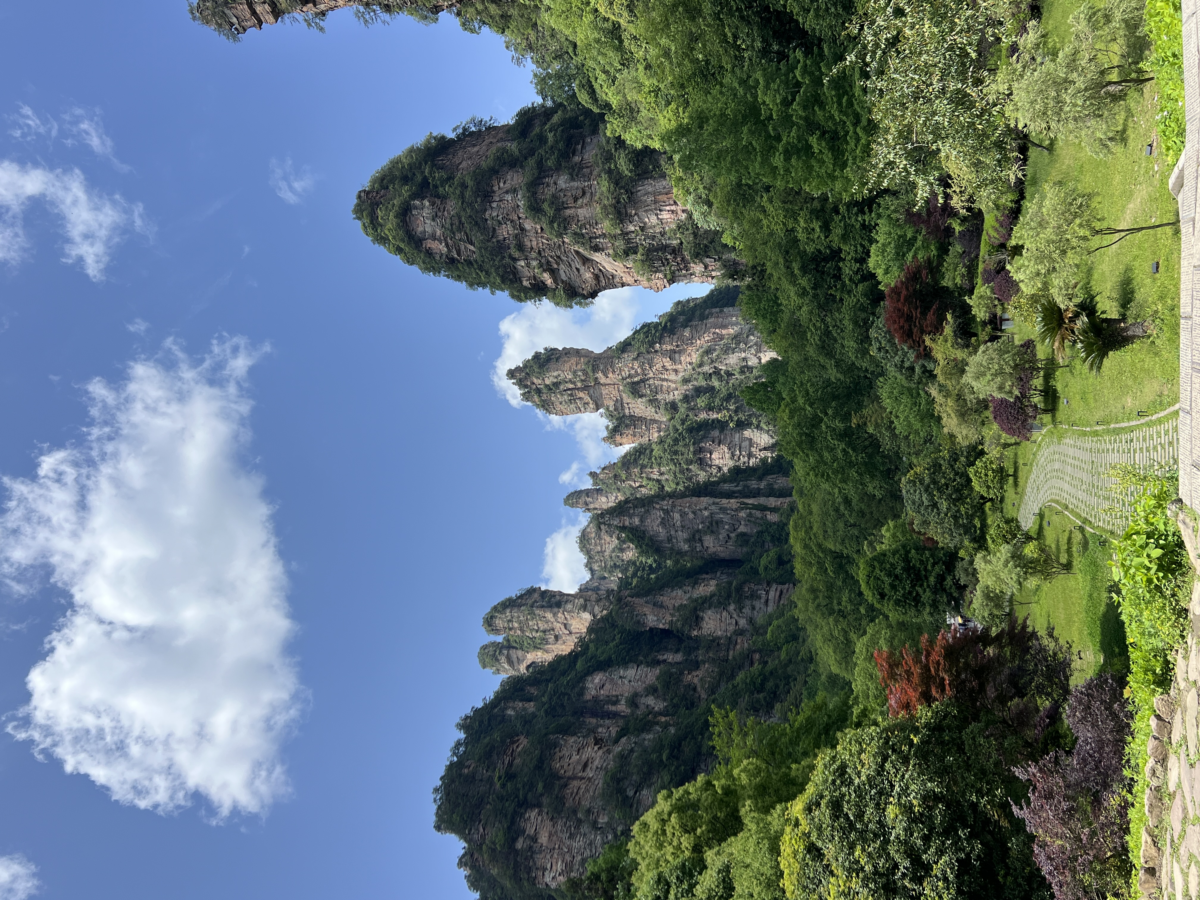 张家界 动车去 动车回  3天2晚 张家界国家森林公园+天门山 3日游