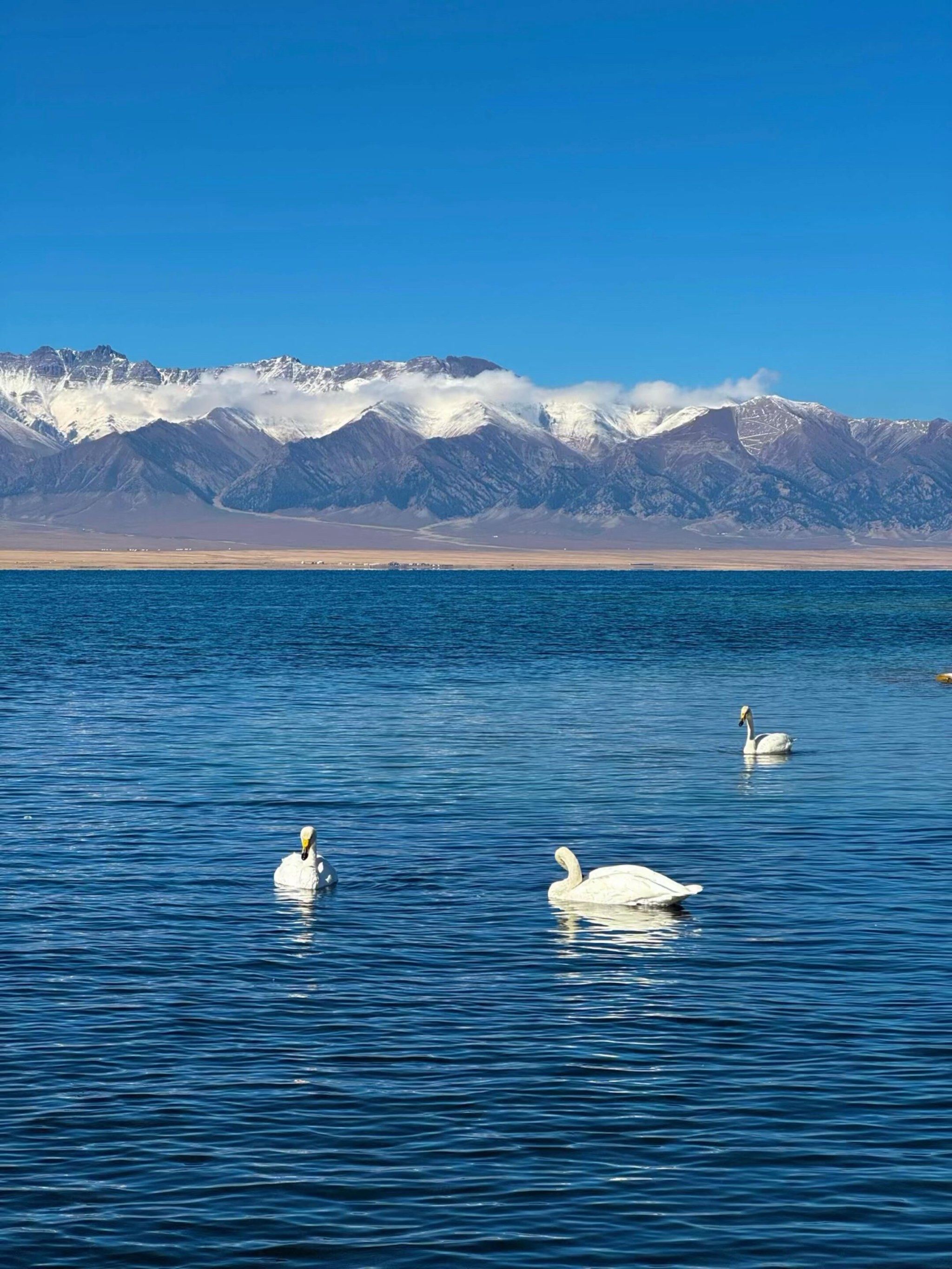 新疆 飞机去 飞机回  8天7晚 2026年2-6人（大七座）雪山探花真纯玩拼小团双飞8日