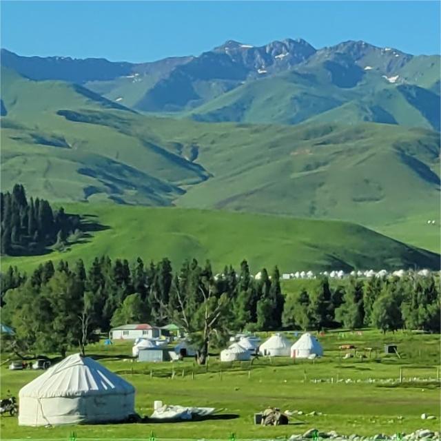 甘肃 火车去 火车回  8天7晚 【会销】天水、麦积山、莲宝叶则、兰州双卧8日游