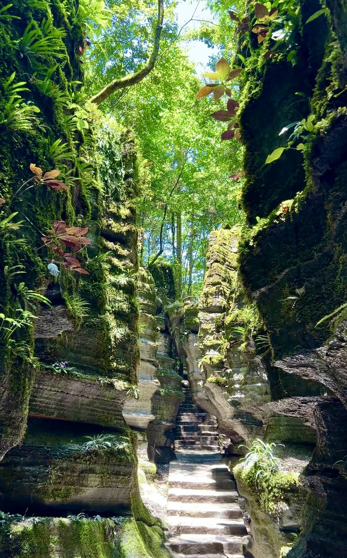 湖北恩施 汽车去 汽车回  4天3晚 【zhizun恩施】 恩施大峡谷全景、七星寨、云龙地缝、梭布垭石林、清江红花峰林、清江跨江索道、宣恩伍家台、仙山贡水、墨达楼、文澜桥、女儿城汽车纯玩 4 日游