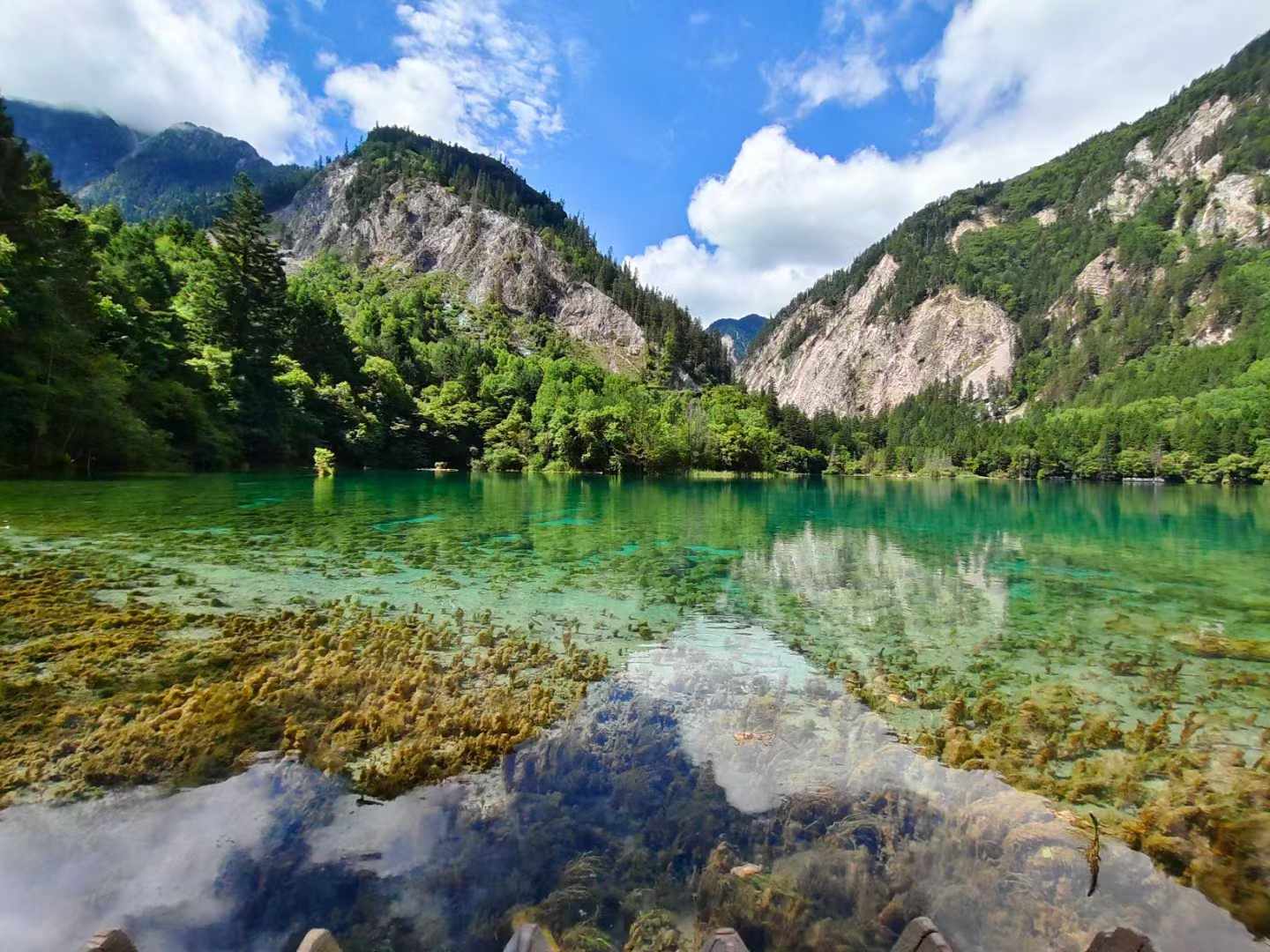 重庆 高铁去 高铁回  7天6晚 乐游四川双高7日