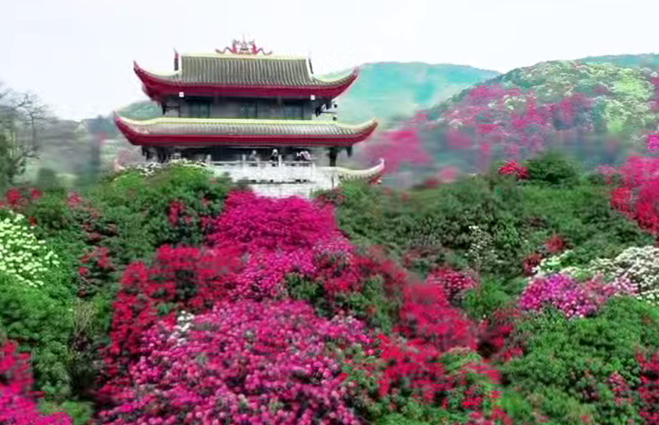 贵州 火车去 火车回  5天4晚 百里杜鹃、织金洞、安顺古城双卧五日游