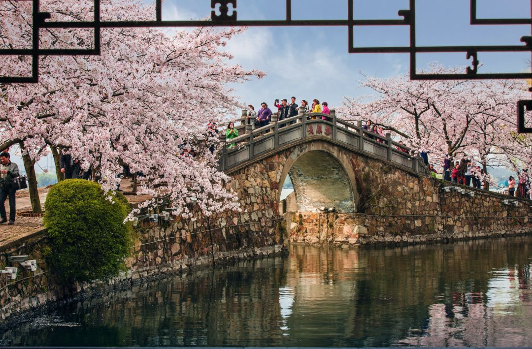 江苏 飞机去 飞机回  6天5晚 四月华五下扬州双飞6日游