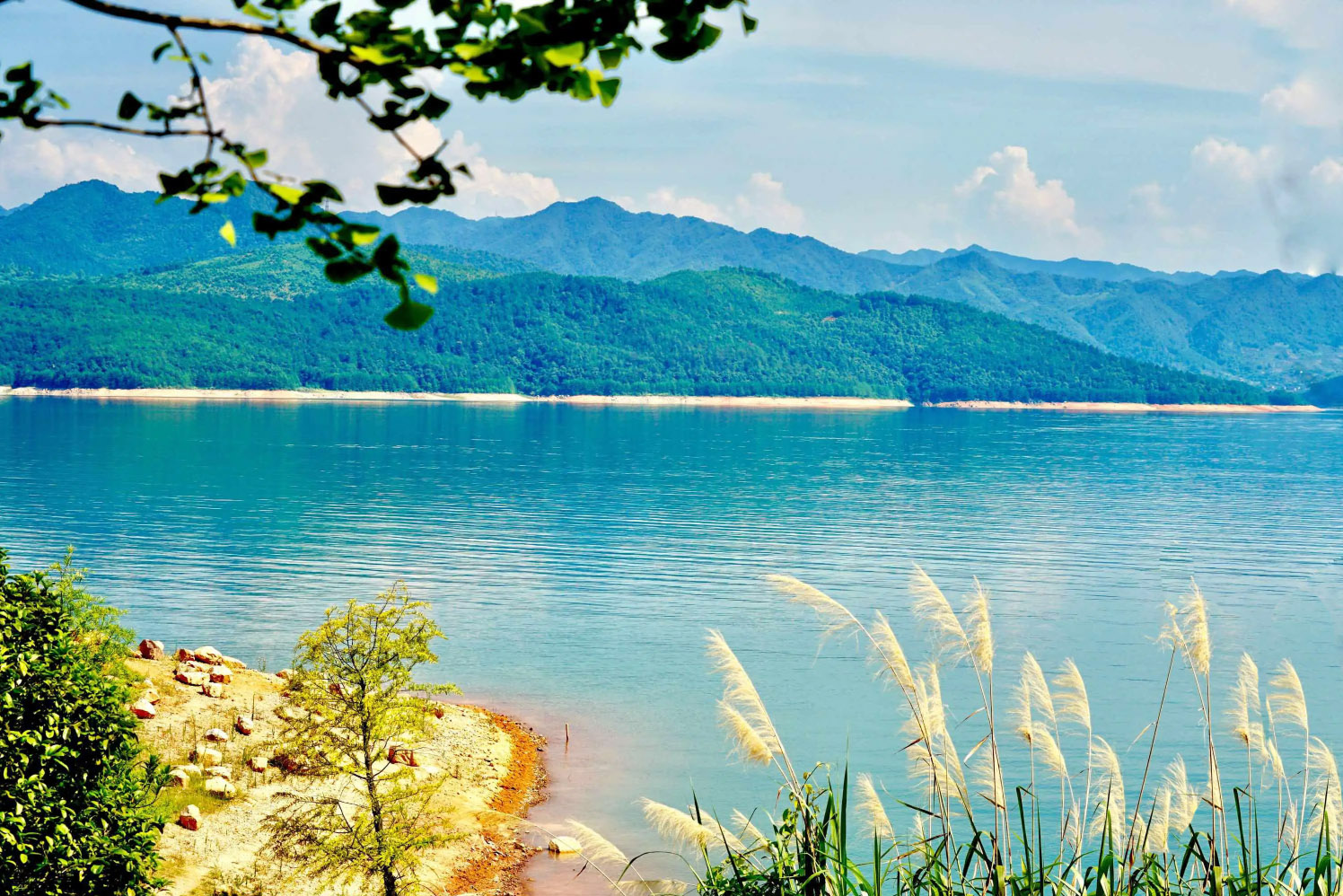 郴州 汽车去 汽车回  2天1晚 【漫游五指峰】 莽山五指峰、瓦窑坪、马皇丘、711时光小镇、裕后街郴州汽车2日游