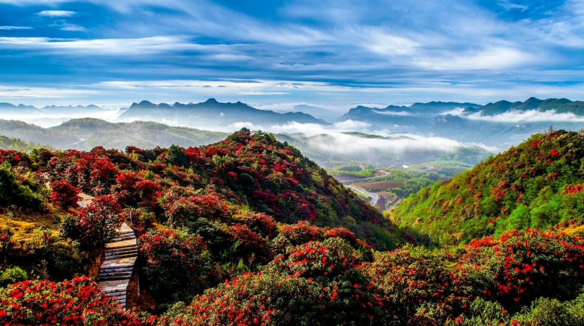贵州 汽车去 汽车回  2天1晚 【XMT】贵阳白宫+青岩古镇+花江峡谷大桥+安顺古镇+ +王若飞故居2日游