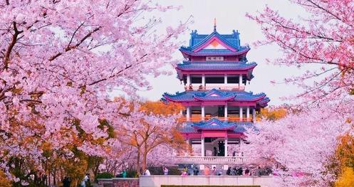 江苏浙江 游客自理去 游客自理回  5天4晚 南京+扬州+兴化+无锡+杭州+乌镇水乡五日游