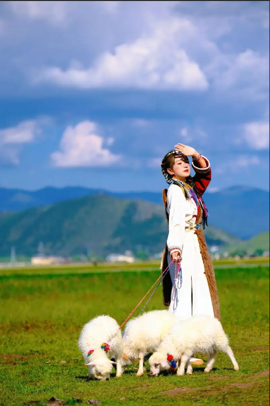 云南 飞机去 飞机回  6天5晚 （衡阳出发）【滇美轻奢】-丽江大理香格里拉双飞6天5晚跟团游