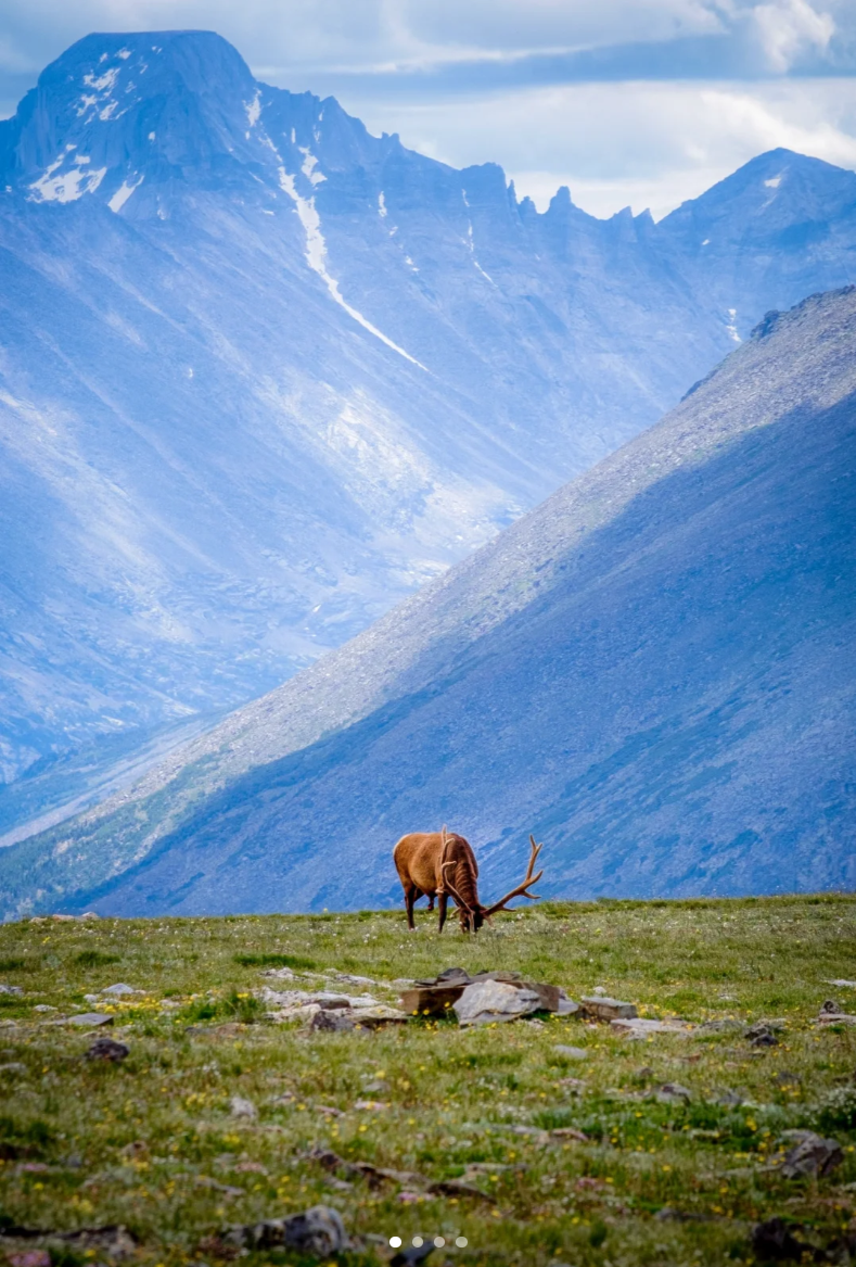 北美 飞机去 飞机回  13天12晚 【穿越落基山】 加拿大东西海岸+落基山四大国家公园全境 13 日
