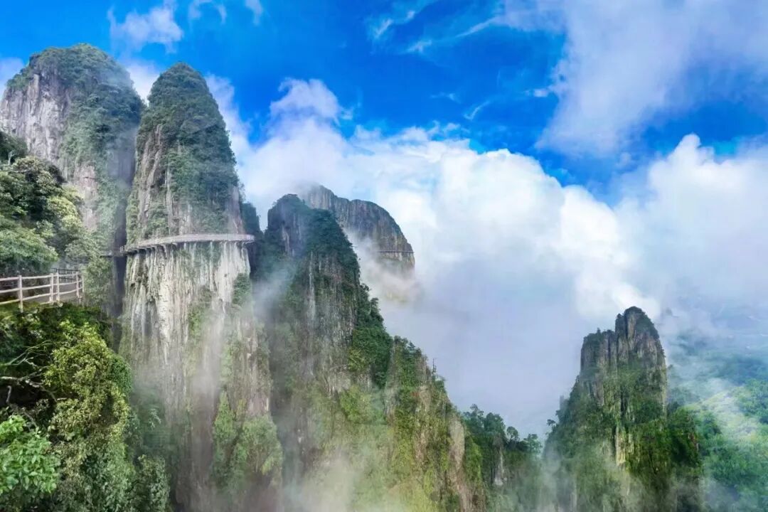 郴州 汽车去 汽车回  1天0晚 五指峰汽车一日游特价班