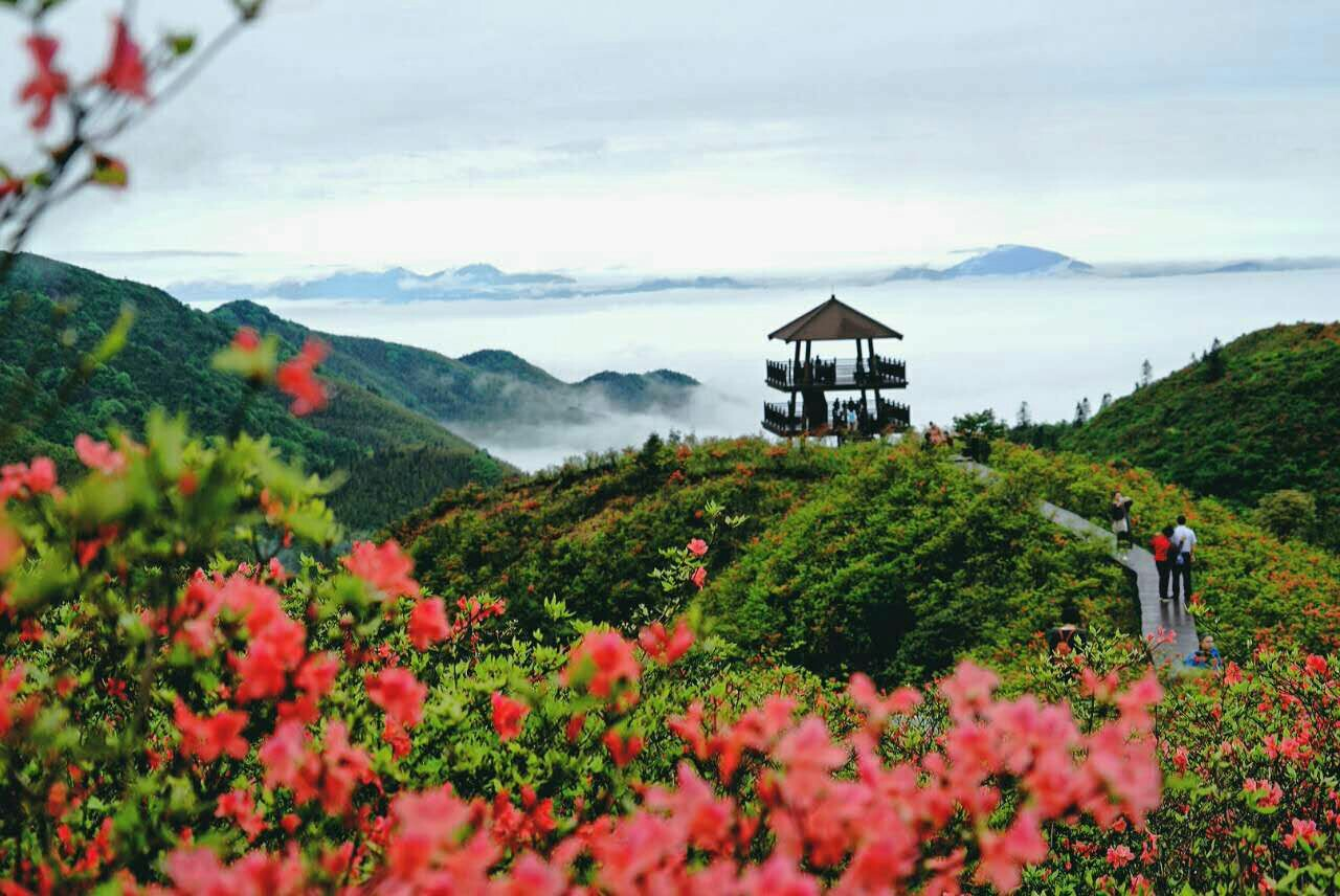 长沙 汽车去 汽车回  1天0晚 大围山一日游