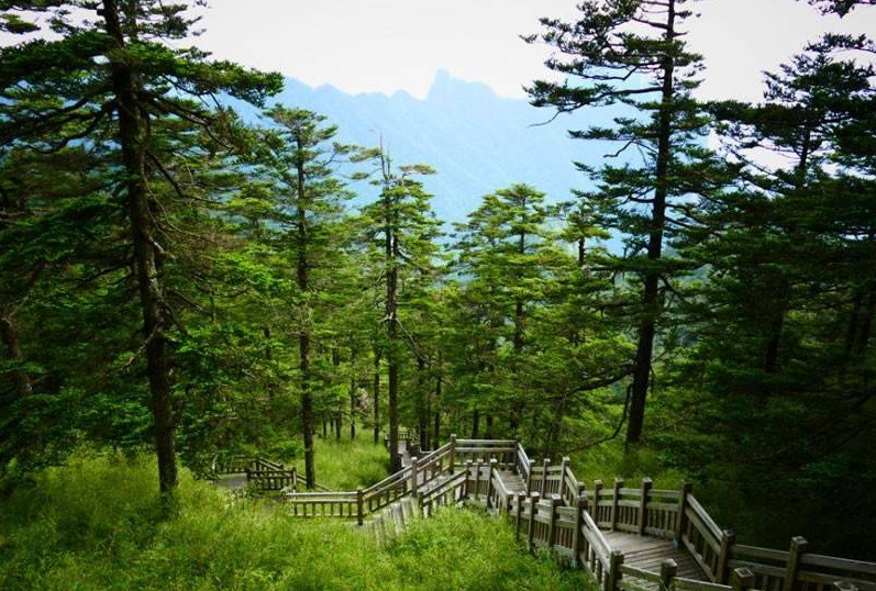 岳阳 汽车去 汽车回  4天3晚 连云山森林旅居度假纯玩汽车 4 日游