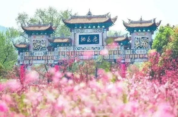 常德 汽车去 汽车回  2天1晚 【桃花源里的绿岛】常德桃花源+绿岛蓝湾二日游