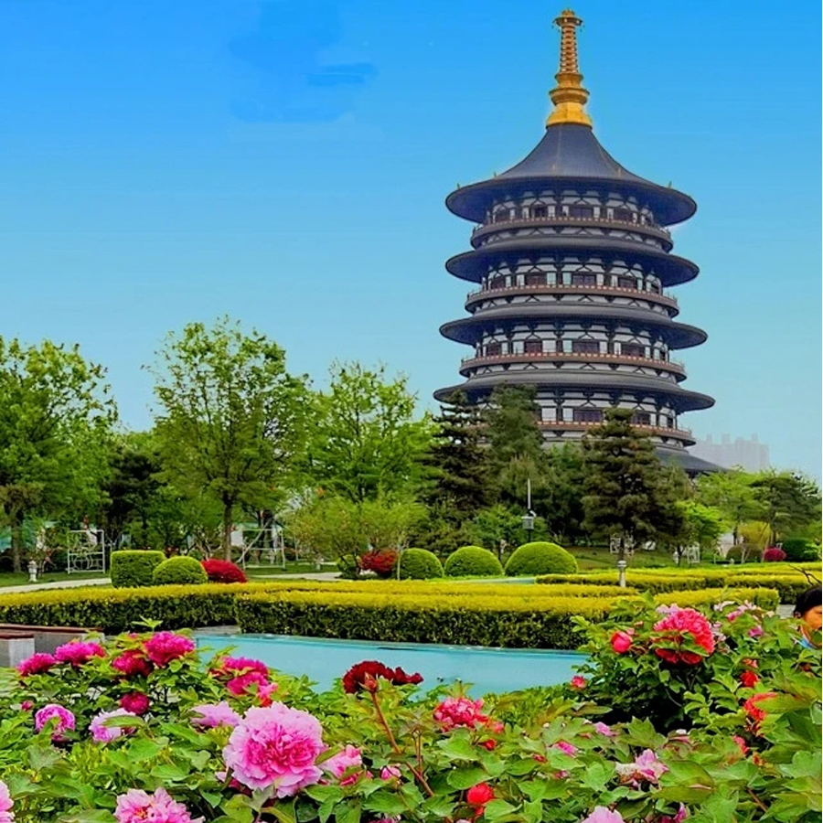 江西 火车去 高铁回  6天5晚 【会销】三清山、望仙谷、庐山单卧单高6日游
