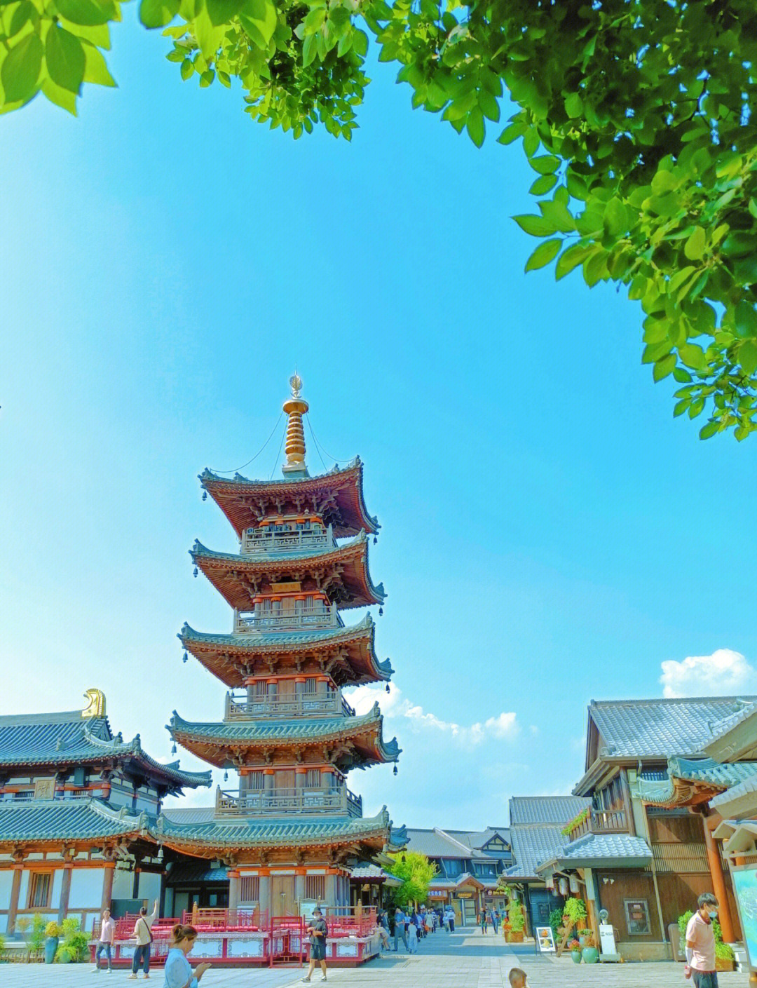 上海江苏浙江 高铁去 高铁回  6天5晚 童趣江南（迪士尼）双高6日