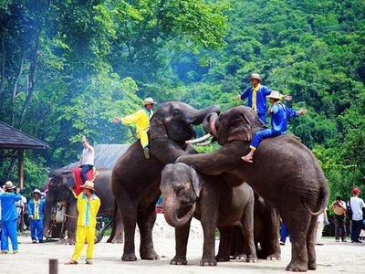 云南 飞机去 飞机回  5天4晚 版纳行-直飞版纳5日游