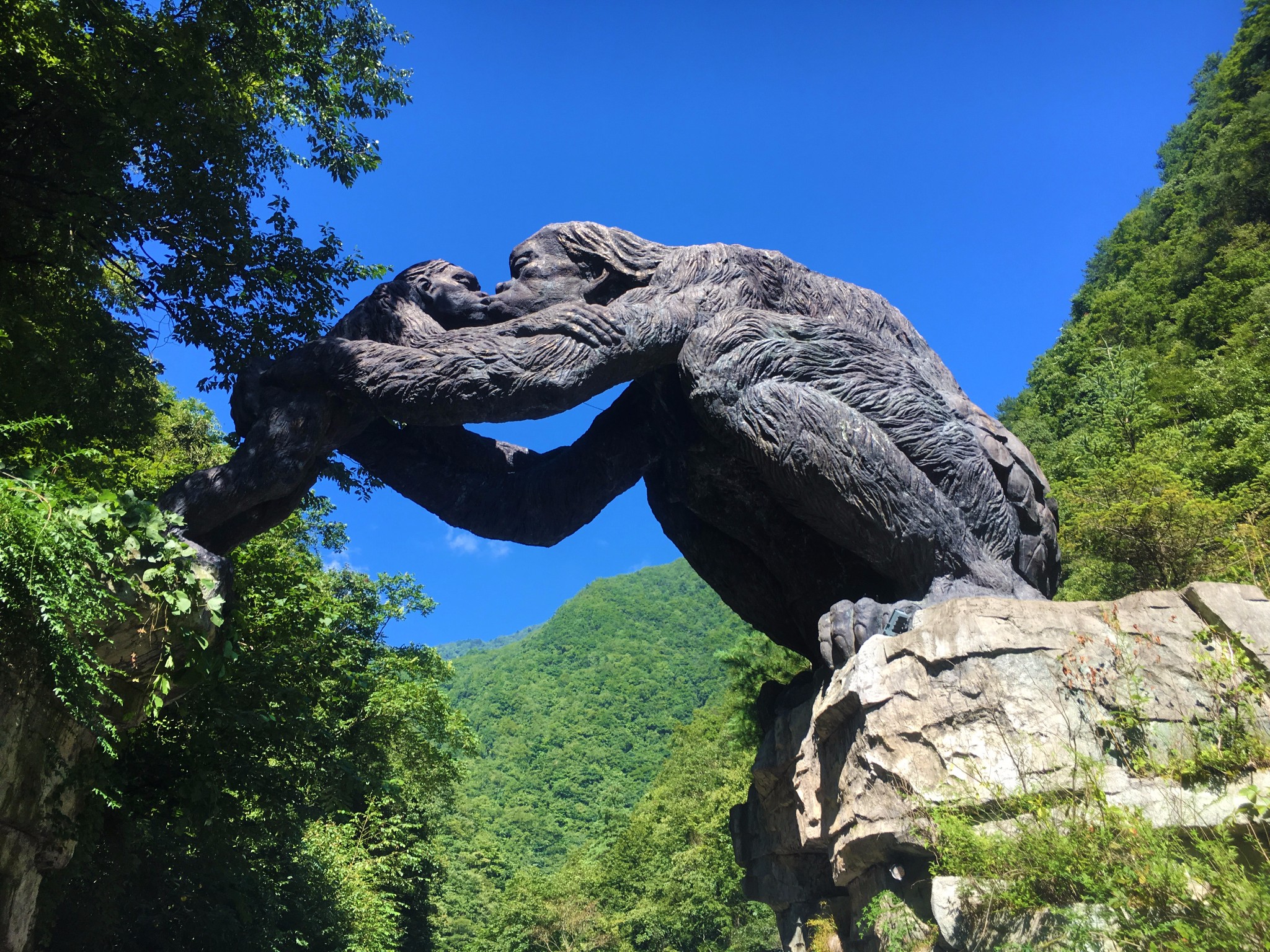 湖北 火车去 火车回  5天4晚 【诗画神农】 5A神农架-神农顶/官门山/天生桥/神农坛、5A清江画廊火车/高铁5日游