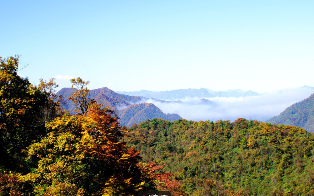 重庆 火车去 火车回  8天7晚 光雾山双卧8日游