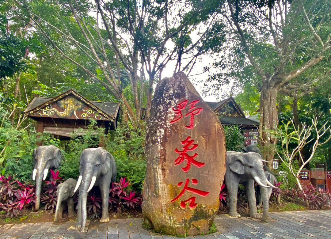 云南 飞机去 高铁回  5天4晚 【一单一团】雨林玩家-版纳5日游