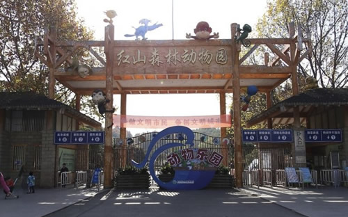 江苏 游客自理去 游客自理回  4天3晚 南京一地4日游