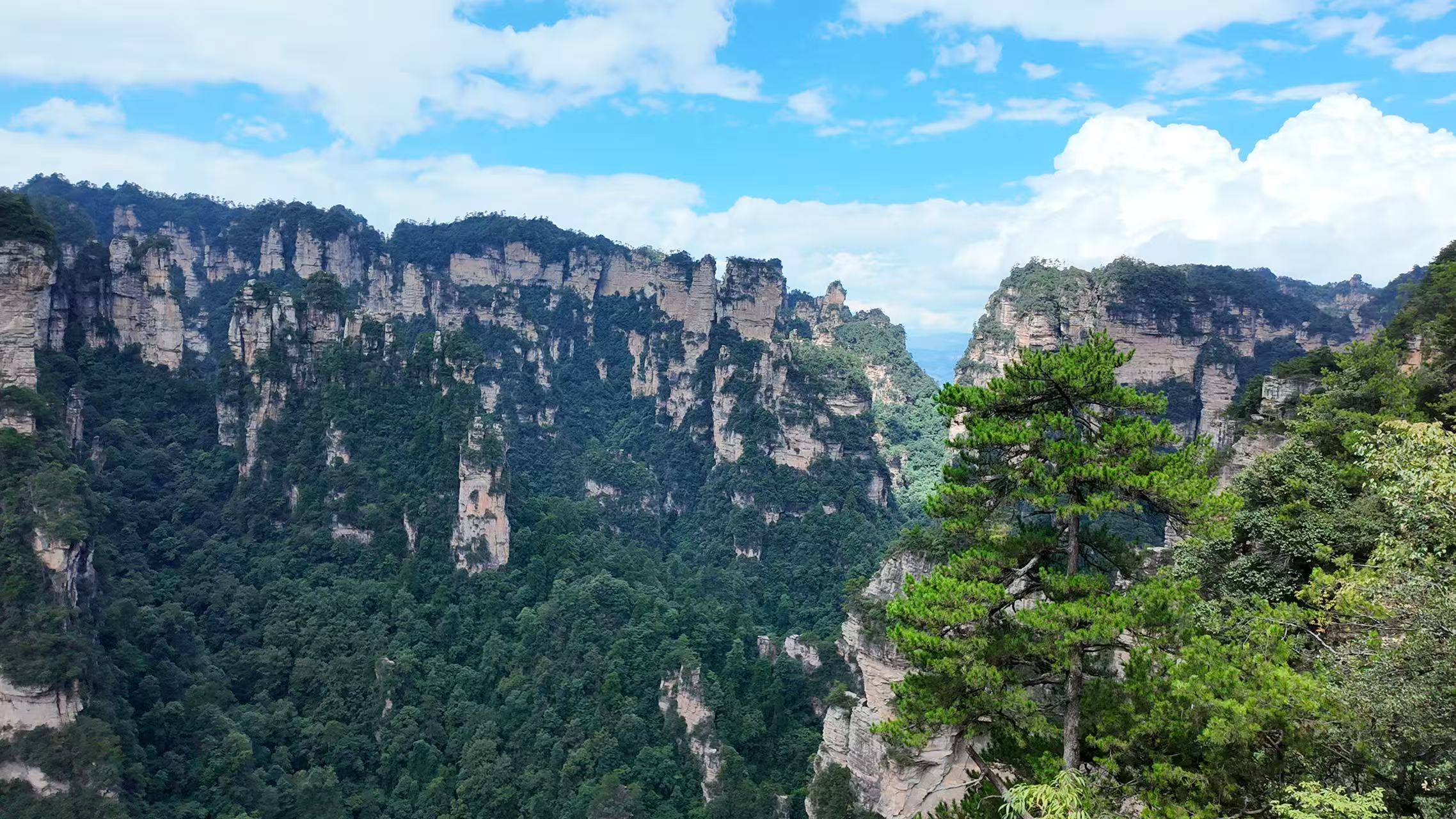 张家界 游客自理去 游客自理回  3天2晚 张家界森林公园全景/杨家界/袁家界/天门山 黄石寨/金鞭溪定制3日游